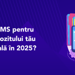 banner articol blog aplicație WMS